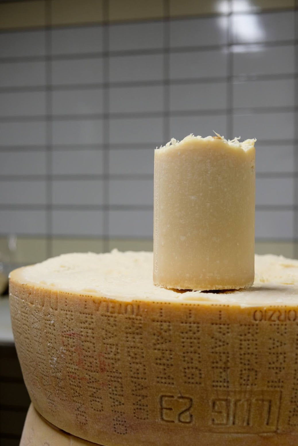 Parmigiano Reggiano BIOLOGICO di Vacca BIANCA MODENESE Presidio Slow Food CUORE stagionatura 80 mesi